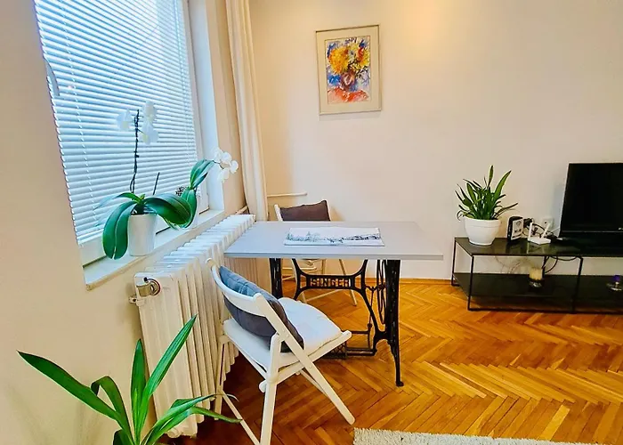 Uma- Urban Mini 스코페